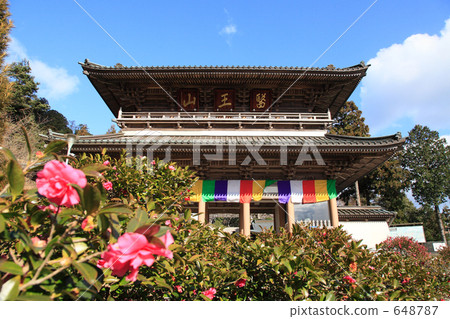 Okuboji Niimon 648787