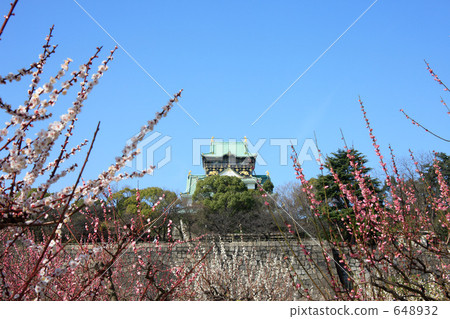 Osaka Castle and plum 648932