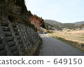 rural districts, road, avenues 649150
