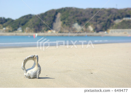 貝殼的海灘和沿海風光 貝殼的海灘和沿海風光 649477