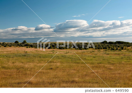 Meadow Meadow 649590