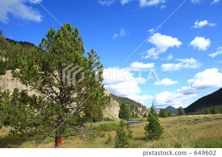 Yellowstone National Park 649602