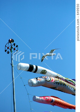 Seagulls and carp streamers 649930