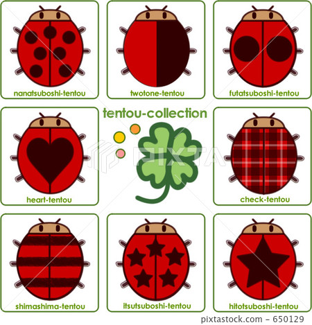 ladybird, ladybug, ladybugs 650129