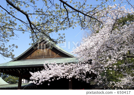 靖國神社的櫻花 靖國神社的櫻花 650417