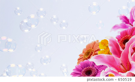 非洲菊 肥皂泡 吹泡泡 650519