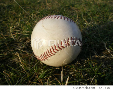 硬球 硬球 650550