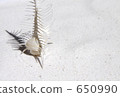 Shellfish and white sand 650990