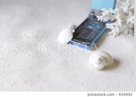 手機和貝類 手機和貝類 650992