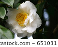 651031