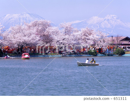 Sakura and remaining snow Sakura and remaining snow 651311