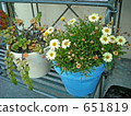 gardening, potted plants, potted plant 651819