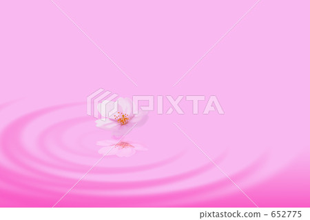 Sakura Ripple Sakura Ripple 652775