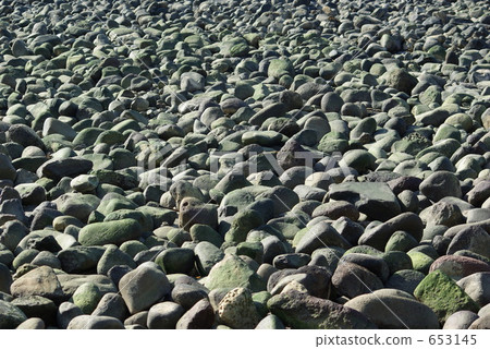 鎌倉材木座海灘 Wakae Island Gorota Stone 鎌倉材木座海灘 Wakae Island Gorota Stone 653145