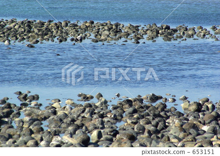 Kamakura Zaimokuza Beach Wakae Island's Gorota Stones and Sea Kamakura Zaimokuza Beach Wakae Island's Gorota Stones and Sea 653151