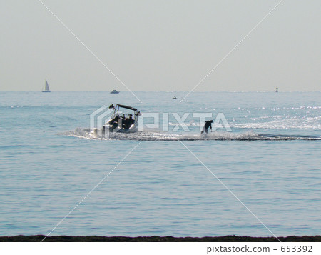 Wake Board 653392