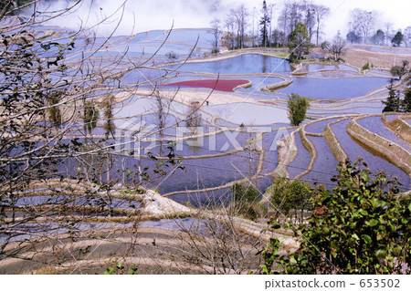 Chinese rice terrace of world heritage Yunnan Yuanyang 653502