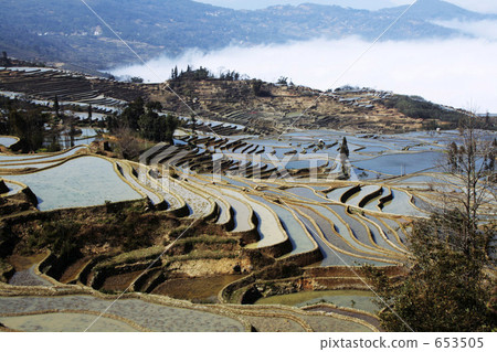 Chinese rice terrace of world heritage Yunnan Yuanyang 653505