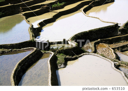 Chinese rice terrace of world heritage Yunnan Yuanyang 653510