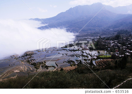 Chinese rice terrace of world heritage Yunnan Yuanyang 653516