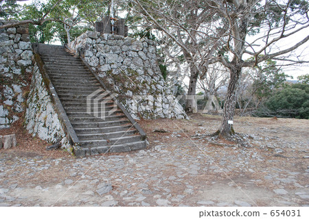 Saeki castle ruins Saeki castle ruins 654031