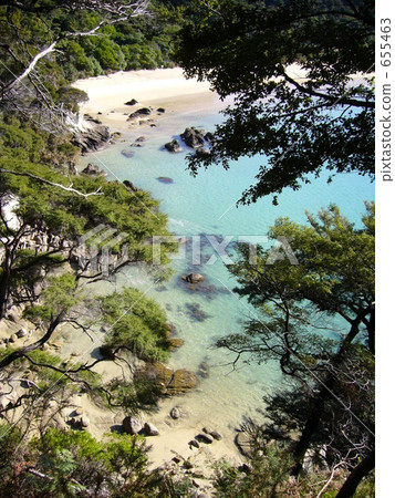 Abel Tasman Beach and trees 655463