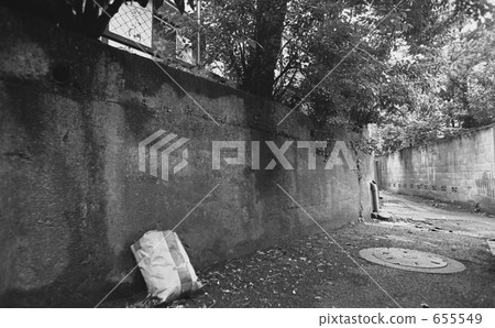 原宿·神宮前1丁目昭和52年 655549