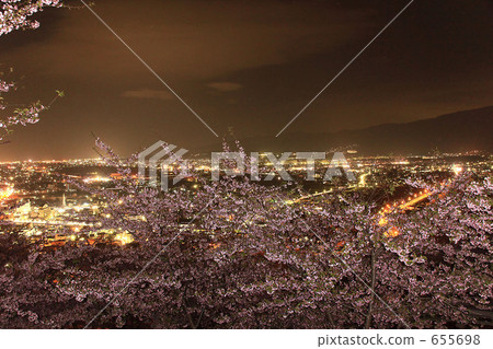 河津櫻 夜景 古鎮燈 655698