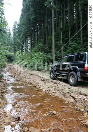 forest road, woodland path, mountain forest 655980