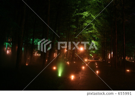 wedding, tree-lined road, lantern 655991