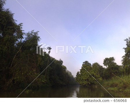 Explore Malaysia Jungle 656068