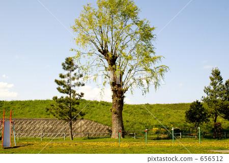 wood  656512