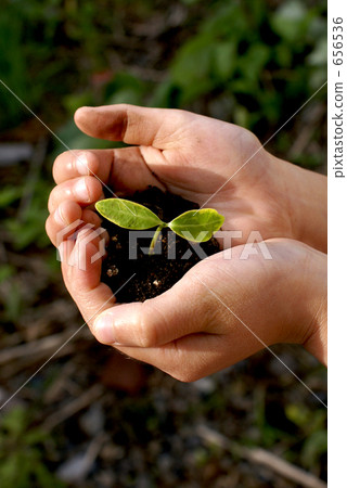 Hands and buds 656536