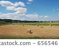 furano, meadow, ranch 656546