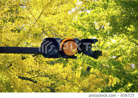 禦堂筋的信號機 656725