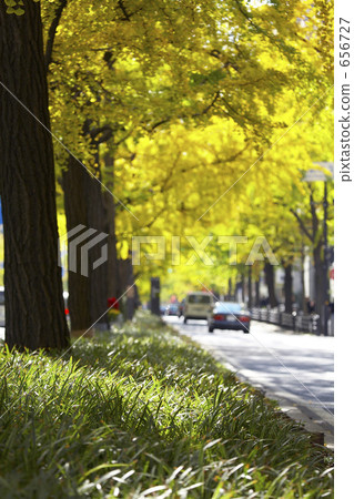 大阪禦堂筋在秋天 656727