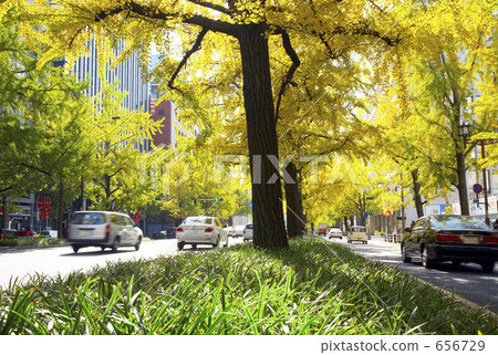 大阪禦堂筋在秋天 大阪禦堂筋在秋天 656729