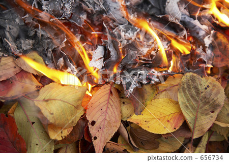 Bonfire Bonfire 656734