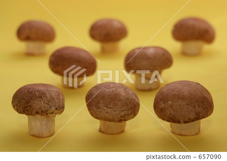 棕色蘑菇 657090