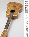Ukulele 4 657396