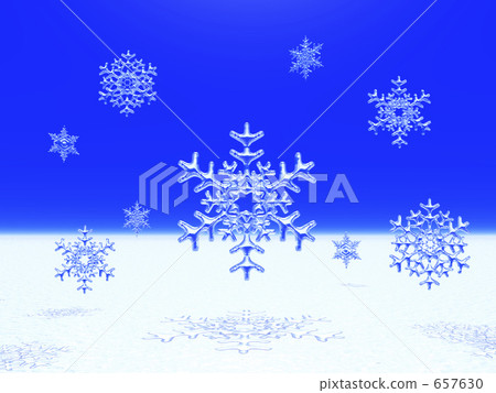 雪花 657630