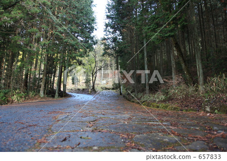 Ochiai's cobblestone (entrance from Nakatsugawa) 657833