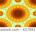 Theory of sunflower evolution Theory of sunflower evolution 657891