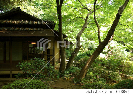 東京大都會花園博物館的茶室 658065