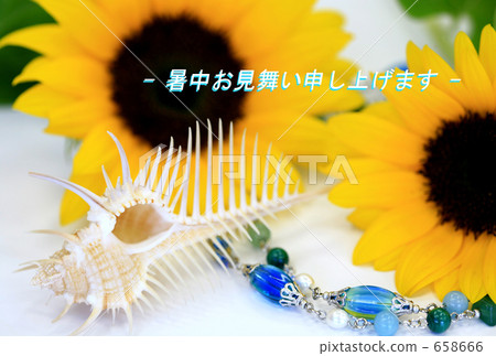 Sunflower's hot summer sunflowers Sunflower's hot summer sunflowers 658666