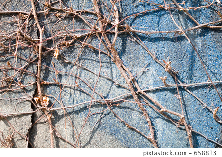 concrete, crane, tendril 658813