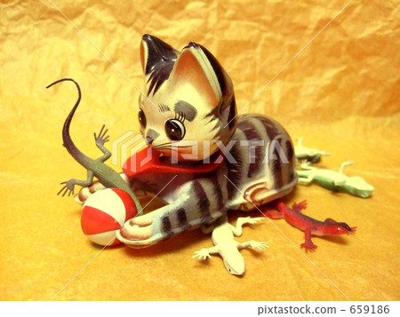 Hit and run cat 659186