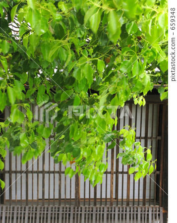 Norihiro Motomi的豪宅 659348