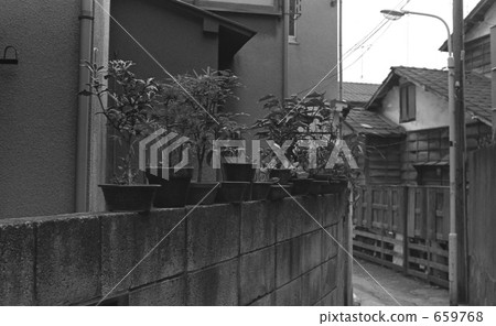 Harajuku·Jingumae 4  -  chome Showa 52 659768