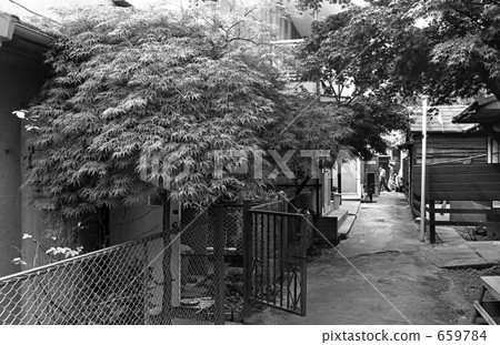 Harajuku·Jingumae 4 - chome Showa 52 Harajuku·Jingumae 4 - chome Showa 52 659784